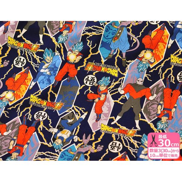 nakanotetsu_18dbs-005