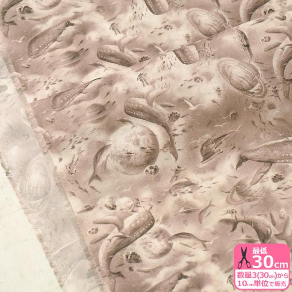 oeBvg Xander U_[ 363J6431 ^i[ n z 3(30cm)10cmP 4840 65126