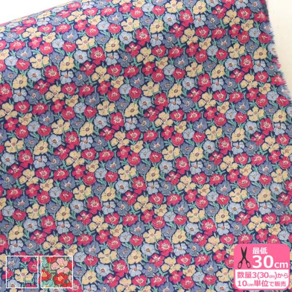 oeBvg GA[Rbg Anemones AllY 84-3334107-CHA  n z  3(30cm)10cmP 6502 6175 65126