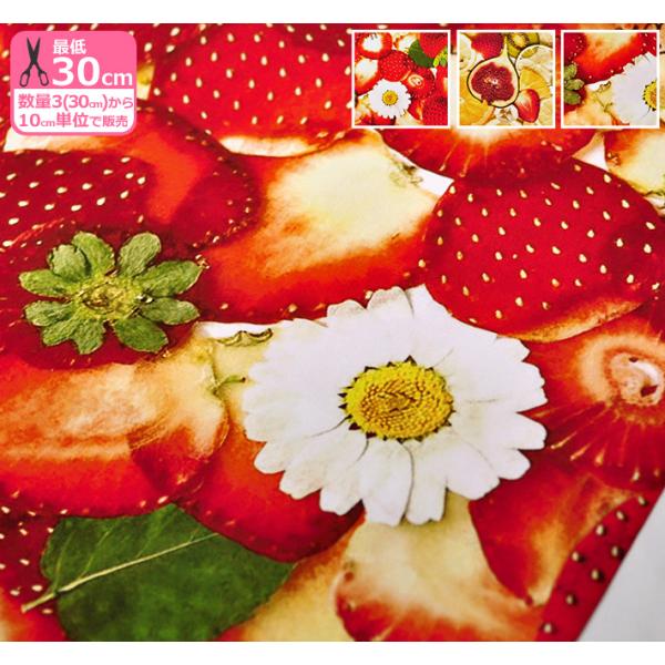 手芸用品 クラフト 押し花 生地 布の人気商品 通販 価格比較 価格 Com