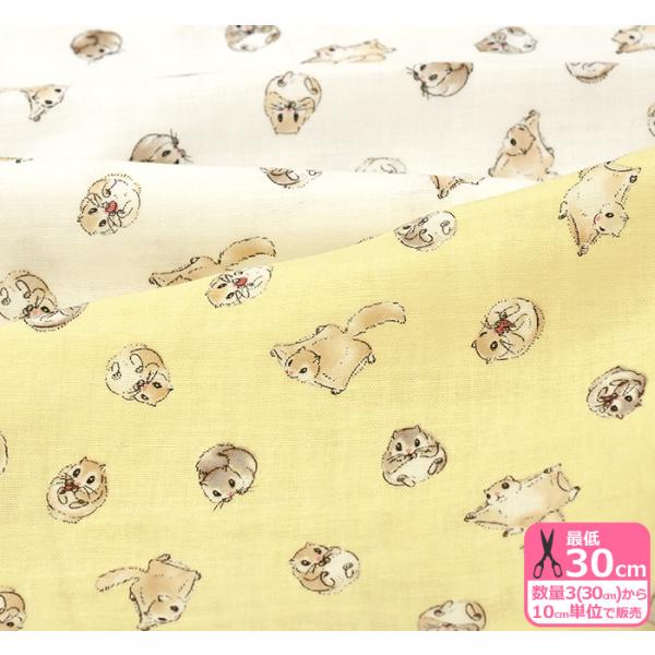 モモンガダブルガーゼ 大きな瞳がかわいいモモンガのwガーゼ 生地 布 Ap 2 数量3 30cm から10cm単位 Ap 2 ホビー家コテツ 通販 Yahoo ショッピング