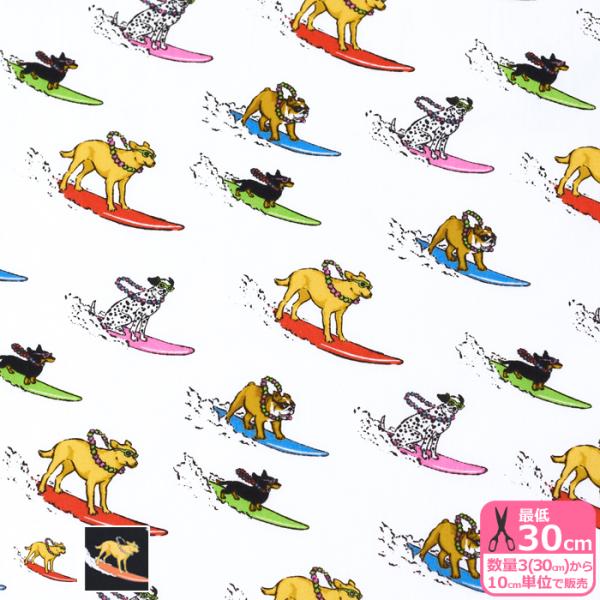 SEVENBERRY 波乗り犬 ブロード 犬 犬柄 わんこ ワンコ サーフィン
