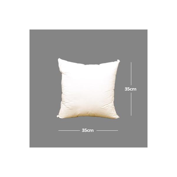 Hi͂ˁj^b`NbVipj|pk[hNbV^RT×RTywpi̎ÂɁz