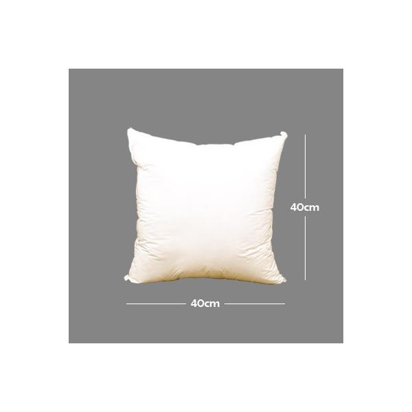 Hi͂ˁj^b`NbVipj|pk[hNbV^SO×SOywpi̎ÂɁz