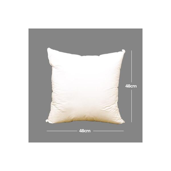 Hi͂ˁj^b`NbVipj|pk[hNbV^SW×SWywpi̎ÂɁz