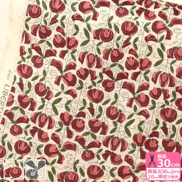 oeBvg t_[Xl Wisteria Trellis EBXeAEgX n z  3(30cm)10cmP 9615 6175 65126