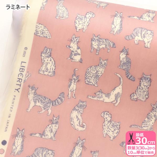 nakanotetsu_dc32576-zzd