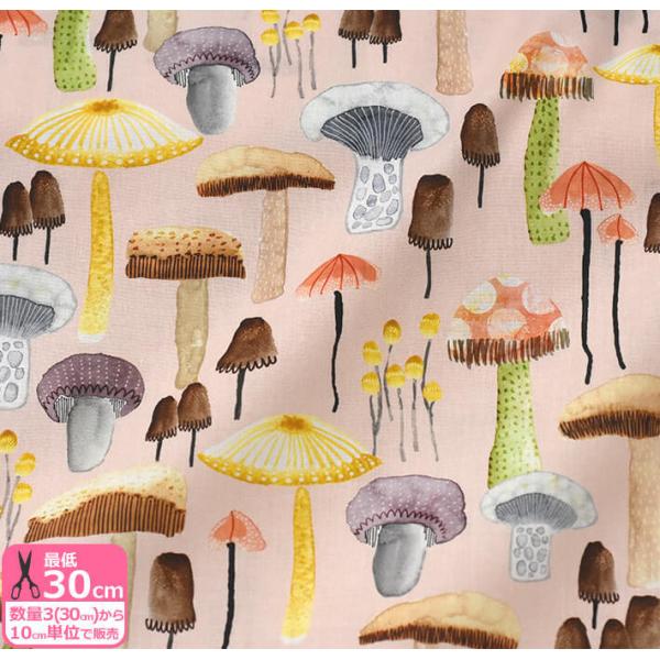 きのこ 生地の人気商品 通販 価格比較 価格 Com