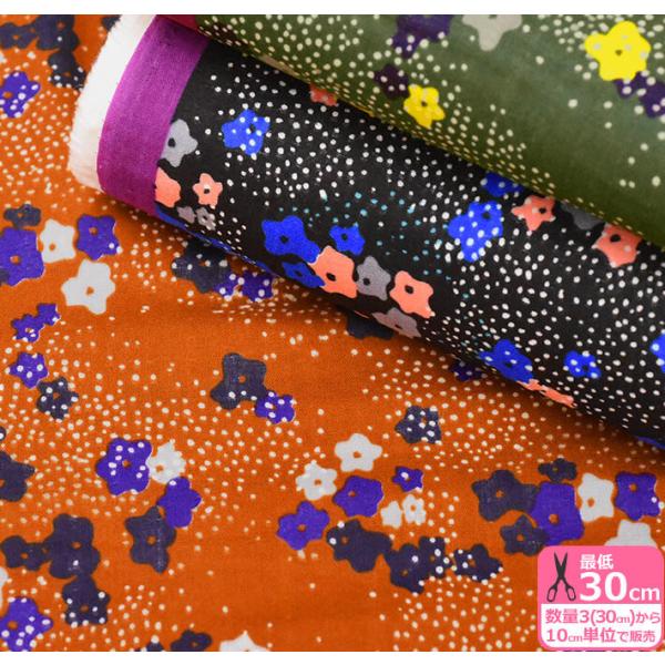 echino floret _uK[[  hbg ԕ G`m EKX-97500-501 n z 3(30cm)10cmP