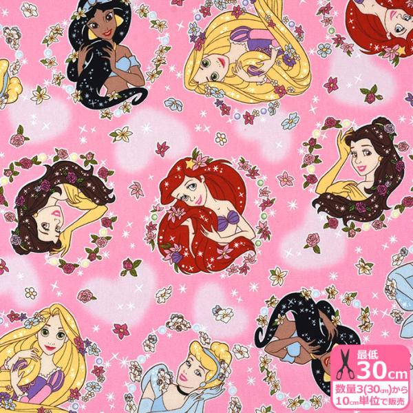 ディズニー BTS ディズニープリンセス オックス オックス生地