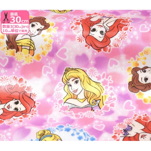 布 ディズニープリンセス キャラクター ホビーの人気商品 通販 価格比較 価格 Com