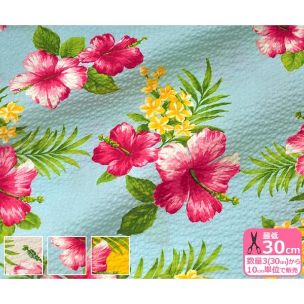 ハイビスカスリップル 19夏向き生地 コットン100 生地 布 H 7008 2 H 7008 2 ホビー家コテツ 通販 Yahoo ショッピング
