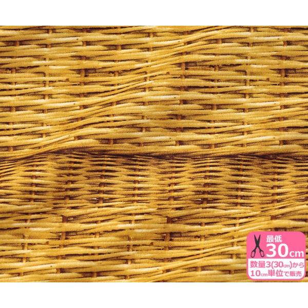 Candy Party トリックバスケット キャンバス バスケット柄 リアル