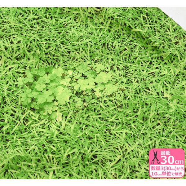 ՂՁ@ ŐŃS Ő 100 10ԃLoX n z