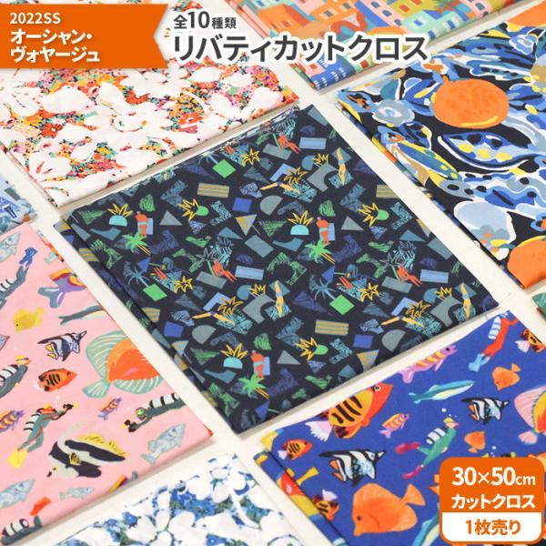 ���o�e�B�v�����g �J�b�g�N���X 2022SS�I�[�V�����E���H���[�W�� ��30×50cm �^�i���[�� ���n �z Ocean Voyage 2787 65126