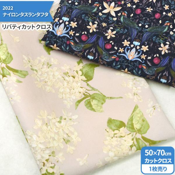 oeBvg JbgNX 2022iC^X^t^ 8 50×70cm iC100 n z 3231 65126