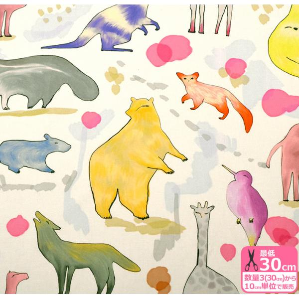 nora. łȓ V[`O m  {gKC BOLTGEI IIJ~ i}Pm 啿 fW^vg n z 3(30cm)10cmP