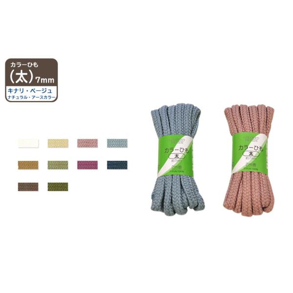 �J���[�Ђ��u���v�i�`������ �A�[�X�J���[ 2���� ������7���� �T���R�b�R�[ �m�ٍޗ� �В��̃q�� �R �����݃J���[
