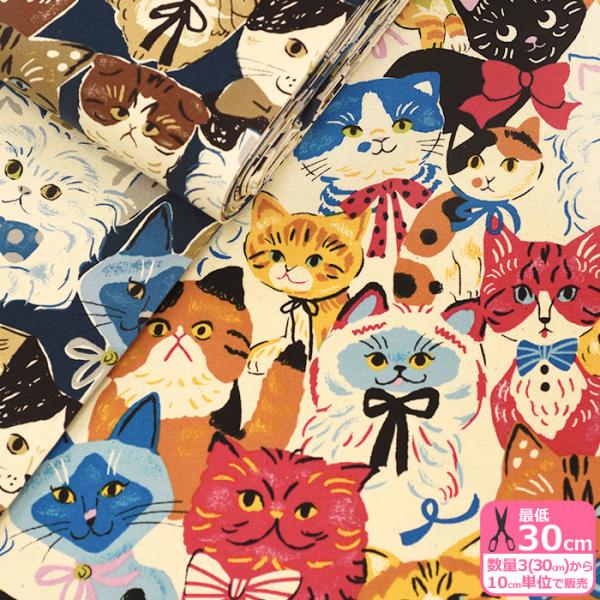 猫 cat コレクション インテリア アニマル 動物 漫画 レア 希少 貴重 hknekoirinzasi2top90.jpg