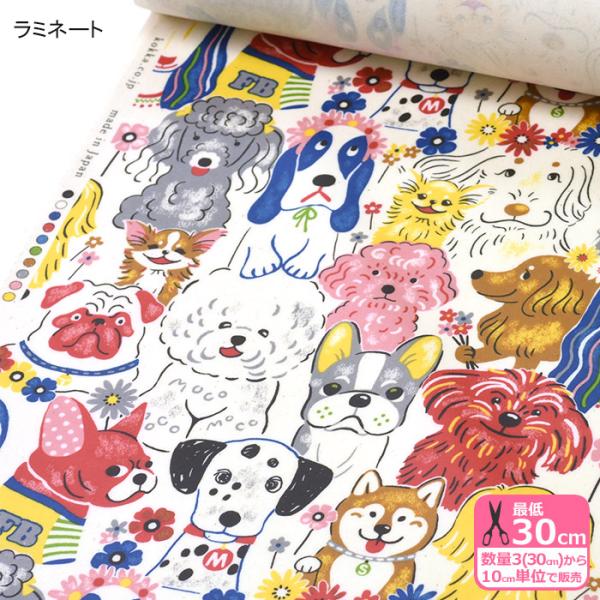 nakanotetsu_ygl-71000-2