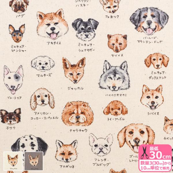 伊勢原ねこ様　①専用　透かしレンガ 押ばね 1.2×14×48 | ねじ・くぎ・針金・建築金物 通販