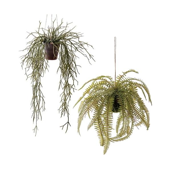 @݂艺O[@ϗtA@tFCNO[ lHAivTXEt@[jRt