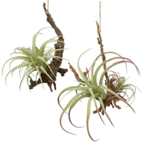 @nMOGA[vc@ϗtA@tFCNO[ lHA