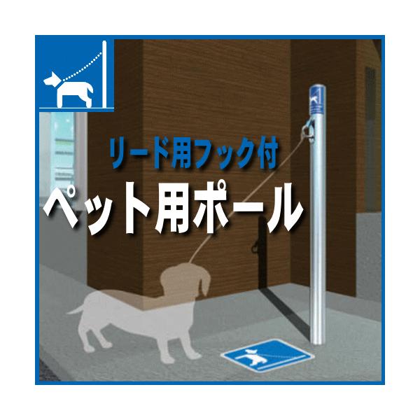 @ybgp|[ xa60.5mm Œ莮@oJ[@TeikinEBARICAR i^Ȃp|[j