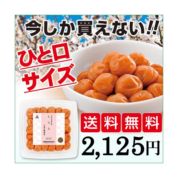 ※こちらの商品は、商品の特性上1月12日までのお届けとなります。大変恐縮ですが、そちら以降の着日指定は承れませんのでご了承ください。 【今だけの限定商品】当店人気No.1「しらら」のひと口サイズ！お弁当にもちょうどいいMサイズ(直径約25m...
