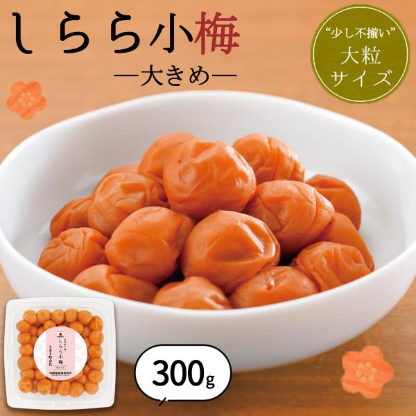 「8月6日以降順次お届け」梅干し 数量限定 中田食品 紀州産小梅 しらら小梅 大きめ 300g お試し 国産 和歌山 塩分5％ 送料無料