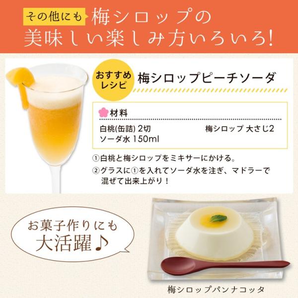 梅ジュース 紀州産 完熟梅シロップ ジューシィ 7ml 中田食品 南高梅 完熟 シロップ Buyee Buyee Japanese Proxy Service Buy From Japan Bot Online