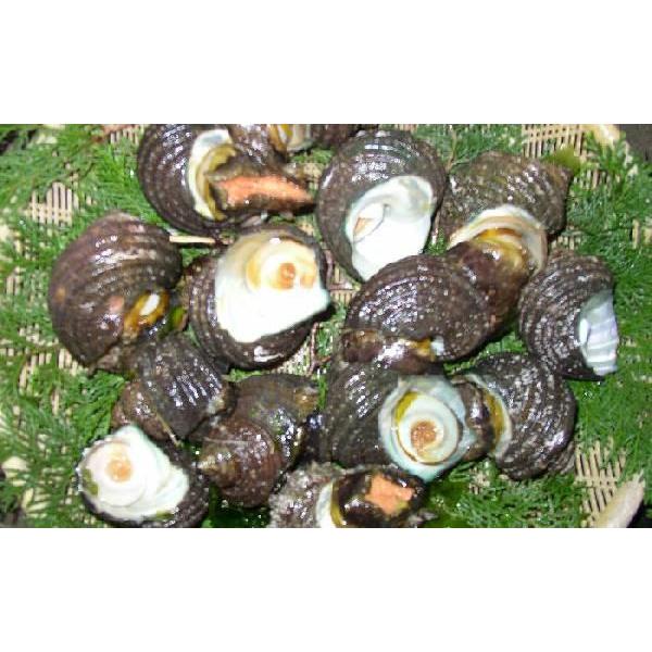 TUGiPTOg/j@U`V@1