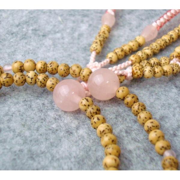 @@ {  gd Wۋ cV[ RrTS×sN ˔  @ؗp {_C [YNH[c uXg[