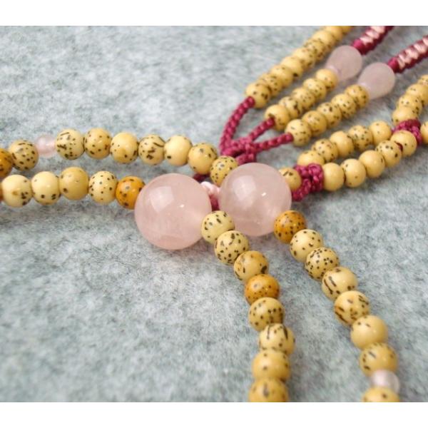 @@ {  gd Wۋ cV[ RrD×C ˔  @ؗp {_C [YNH[c uXg[