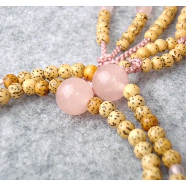 @@ {  gd Wۋ cV[ Dӂǂ ˔  @ؗp {_C [YNH[c uXg[