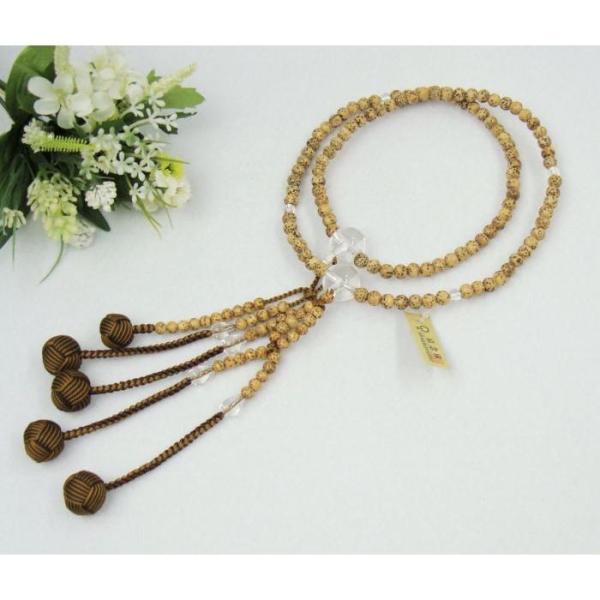 @@ {  { d ڊۋ cV[ Rrv× ˔  @ؗp