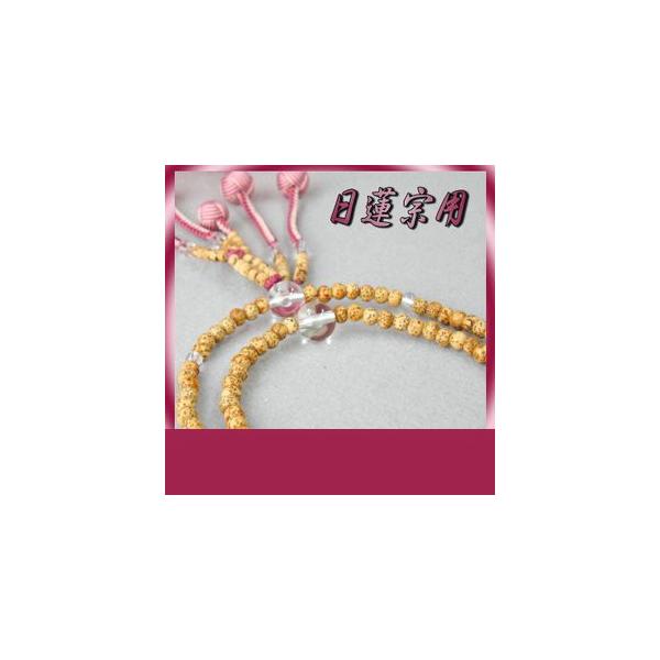 @@ {  { d Wۋ cV[ RrC×D ˔  @ؗp