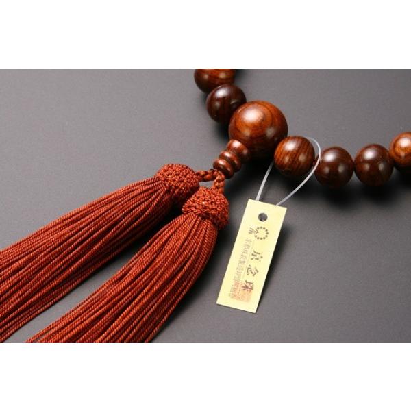  jp Ȑh Ֆڐ V 22 t[  ׋˔   ЎO O Y