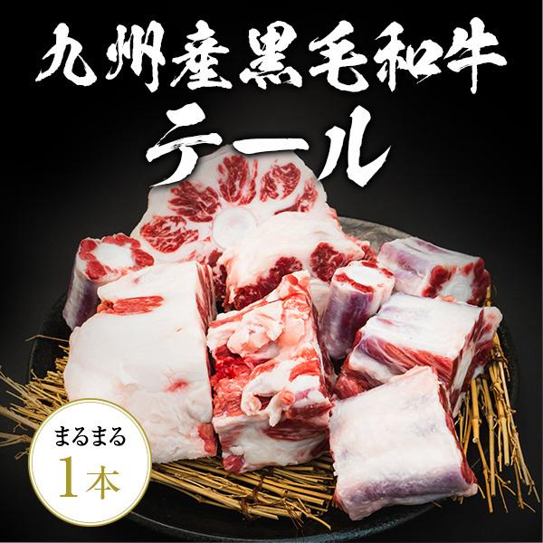 九州産黒毛和牛のテール1本！大きさは1.3kg以上の物をお送りします。通常、牛テールは長時間、煮込まないと硬いですが、九州産黒毛和牛、と蓄後、当日発送ですので、鮮度も肉質ともに最高で、煮込む時間も短くてすみます。関節毎に切り分けてますので、...