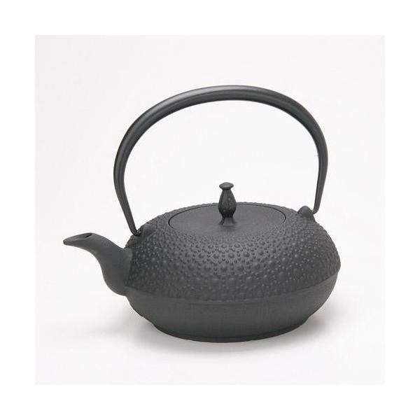 oigen 南部鉄器 鉄瓶」の人気商品一覧 | 安い商品を通販サイトから探す