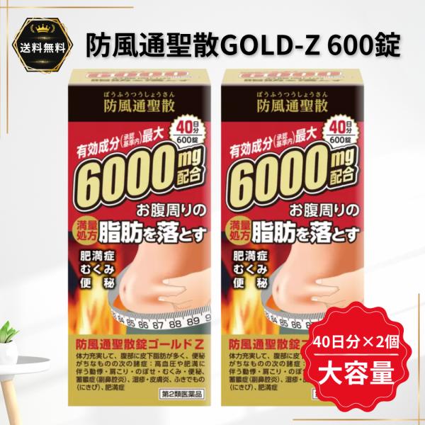 防風通聖散錠 ゴールドZ 600錠 40日分 2個 6000mg 満了処方 阪本漢法製薬 大容量 脂肪 肥満 むくみ 便秘 送料無料 【第2類医薬品】
