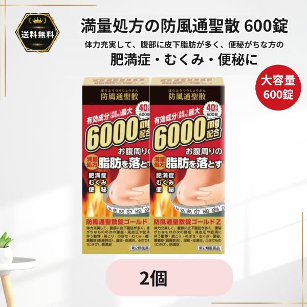 肥満症 防風通聖散 ゴールドZ 満量処方 6000mg 600錠 40日分 2個 大容量 阪本漢法 むくみ 便秘 第2類医薬品★