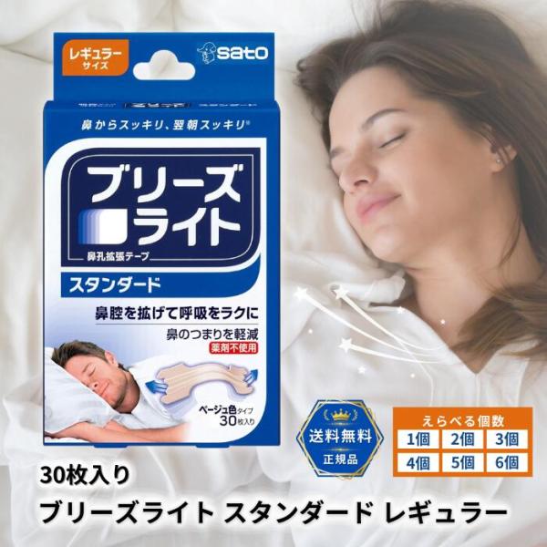ブリーズライト スタンダード レギュラー 肌色 鼻孔拡張テープ 快眠 いびき 軽減 鼻づまり 解消 グッズ お試し2枚入り×5個(合計10枚)