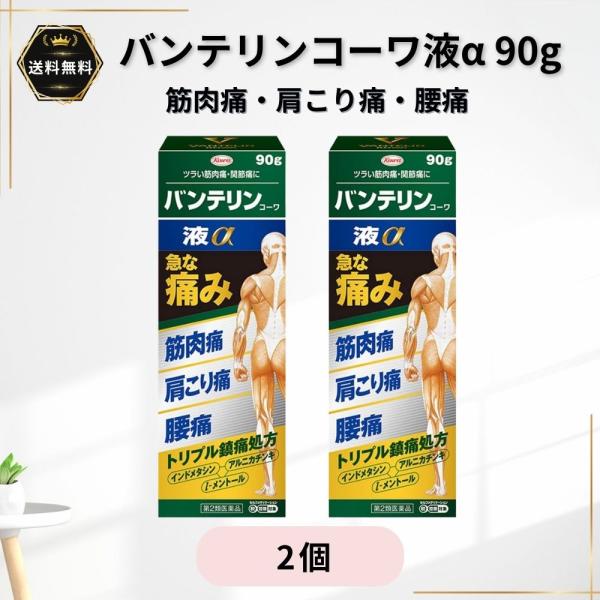 バンテリンコーワ液α 90g 2個 肩こり 腰痛 肩 腰 ひじ ひざ 手足 塗り薬 Kowa 興和 第2類医薬品