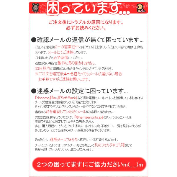 で心に響くプレゼント 姉 妹 誕生日プレゼント 名前の詩 中サイズ 名前の詩 誕生日プレゼントに世界にひとつの名前の詩 サプライズ にスッキリとした名前の詩