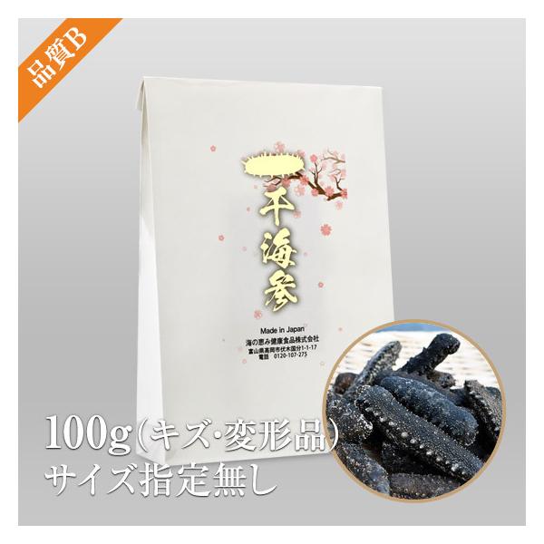 乾燥ナマコ 品質B キズ・変形品 サイズ指定無し 100g