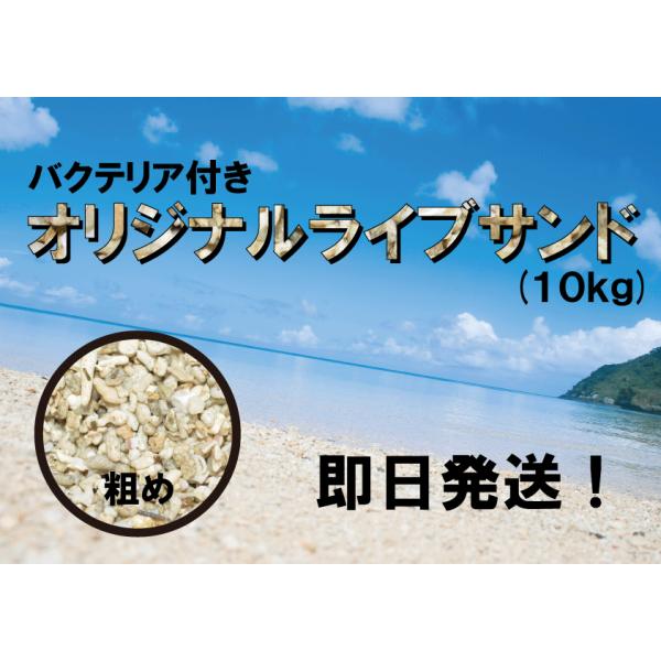 バクテリア付き オリジナルライブサンド 粗め 10キログラム Rs 生麦海水魚ヤフー店 通販 Yahoo ショッピング