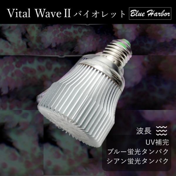 ブルーハーバーの VitalWave 2 は、海水魚・サンゴ水槽向けに設計された高性能LED照明です。各波長（UVA370、バイオレット、シアン、グリーン、アンバー）により、サンゴの光合成を促進し、美しい色彩を引き出します。■ 特長・特定波...