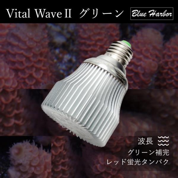 Vital Wave II LEDライト グリーン レッドシー ブルーハーバー VitalWave 2 グリーン（バイタルウェーブ2