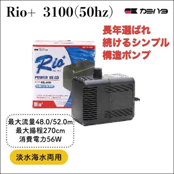カミハタ Rio+3100 50Hz 水中ポンプ｜循環用｜最大クラス｜淡水 海水